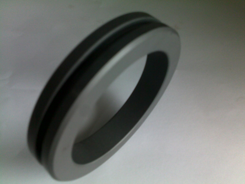 silicon carbide seal ring