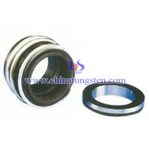 type silicon carbide mechanical seal